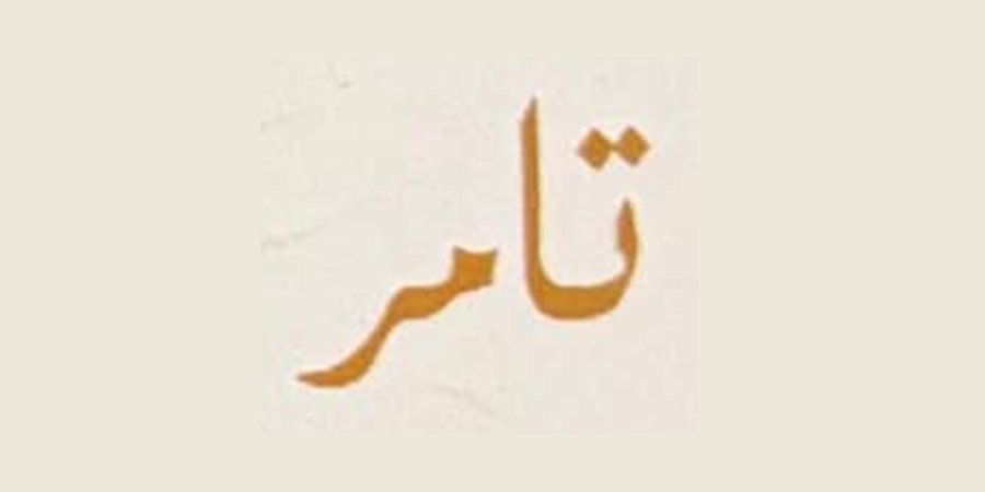 أفراح آل تكلة — الطيبة · 31 يوليو 2026